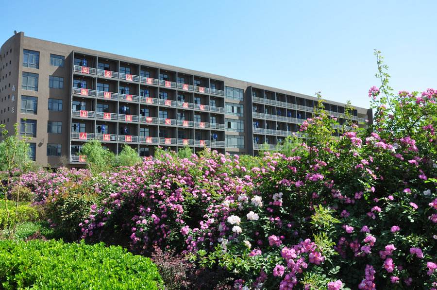 撸撸社软件下载免费版阀门供应